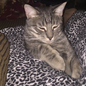 Meet your Posher, Claire