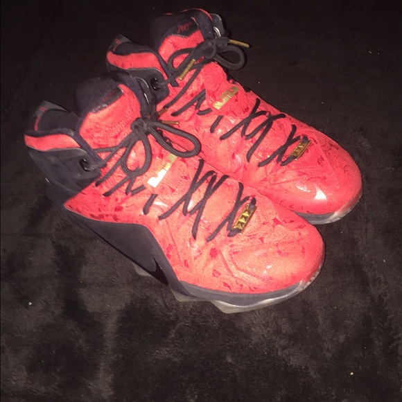 Nike Lebron 12 Paisleys