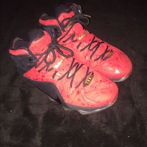 Nike Lebron 12 Paisleys