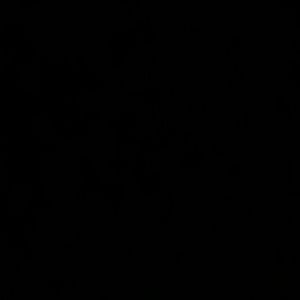 Meet your Posher, Kristin