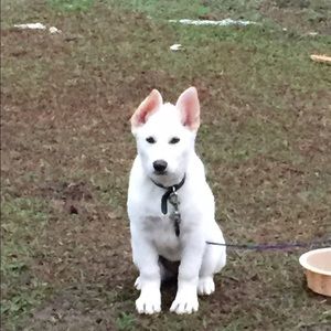 Meet your Posher, Beneva