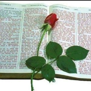 Meet your Posher, Luz m