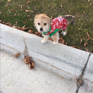 Meet your Posher, Mandy