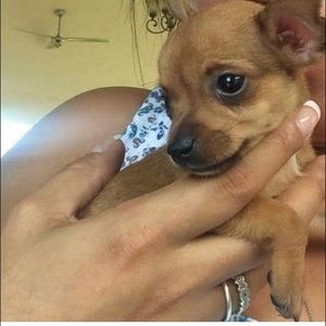 Meet your Posher, Leila