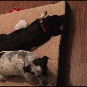 Meet your Posher, Kinsey