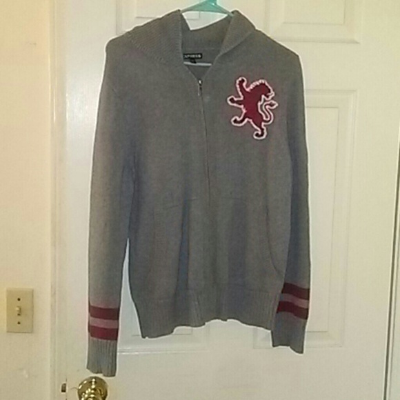 EXPRESS men sweater.