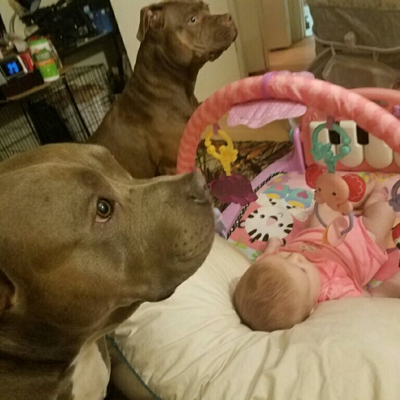 Just a little about me! - Picture 4 of 4