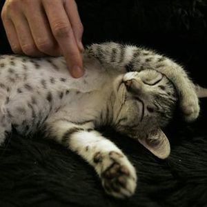 Meet your Posher, Tami