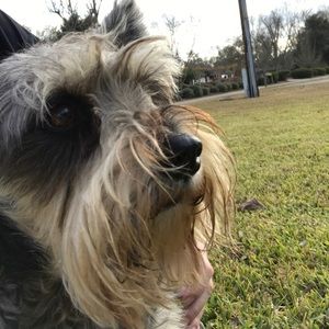 Meet your Posher, Mandy