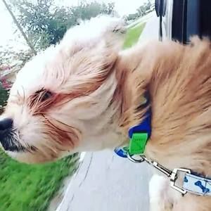 Meet your Posher, Isabella