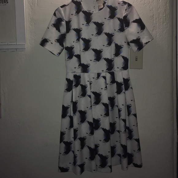 Business Casual Dress