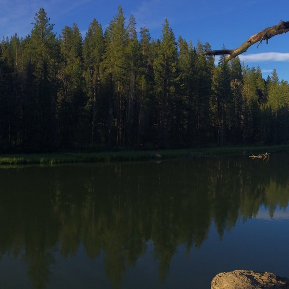 Meet your Posher, Rachel