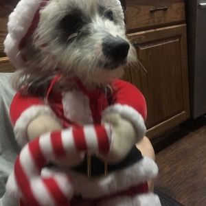 Meet your Posher, Jennice