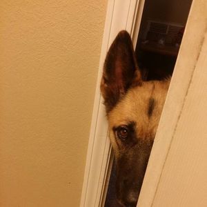 Meet your Posher, Katherine