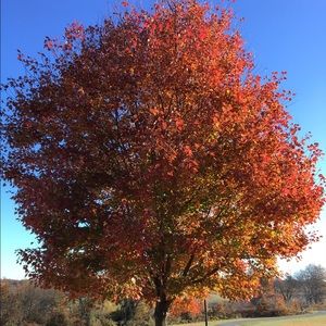 Meet your Posher, Gretchen