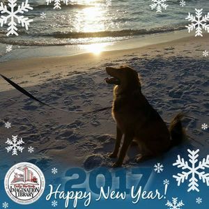 Meet your Posher, Lynn