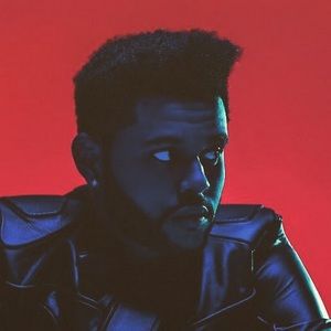 Meet your Posher, Hayden