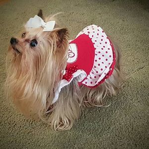 Meet your Posher, Irma