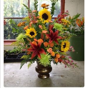 Meet your Posher, Jodi