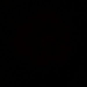 Meet your Posher, Briana