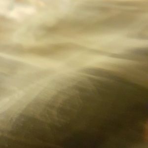 Meet your Posher, Dominic