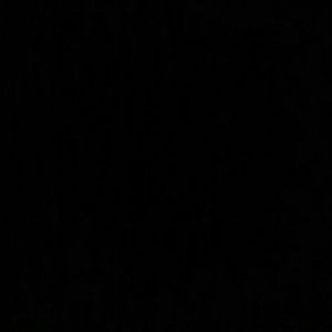 Meet your Posher, Breia