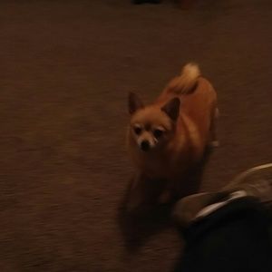 Meet your Posher, Mike