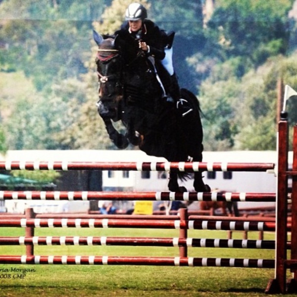 Meet your Posher, Audrey