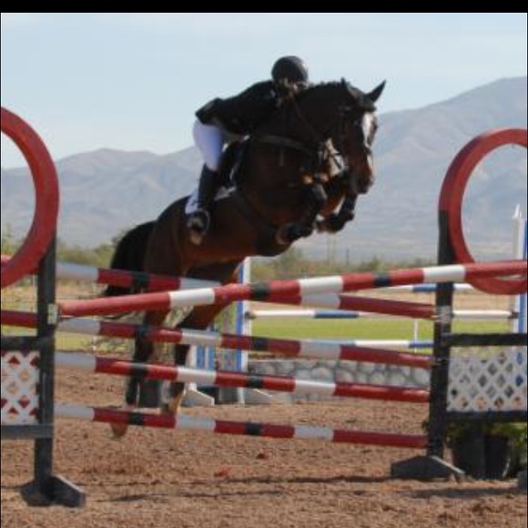 Meet your Posher, Audrey - Picture 3 of 3