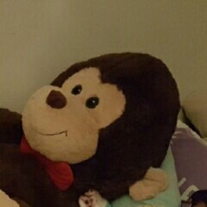 Meet your Posher, Ruby