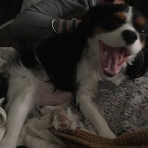 Meet your Posher, Syd