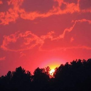 Meet your Posher, Marcy