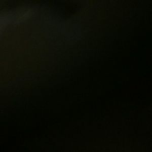 Meet your Posher, Lamonte