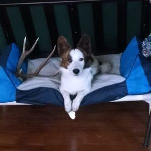 Meet your Posher, Julie