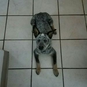 Meet your Posher, Julie