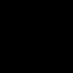 Meet your Posher, Nina