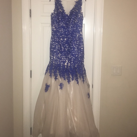 A beautiful mermaid prom or formal dress