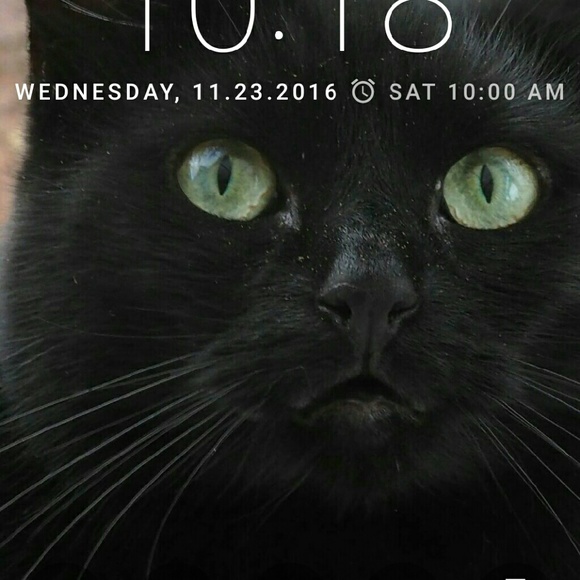 Meet your Posher, Kim - Picture 1 of 1