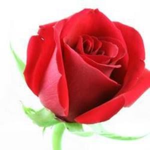 Meet your Posher, Aashka