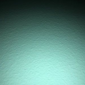 Meet your Posher, Daniela