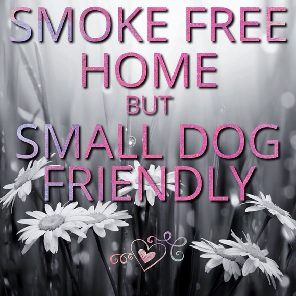 Meet your Posher, Alicia - Picture 4 of 5