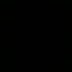 Meet your Posher, Silvia