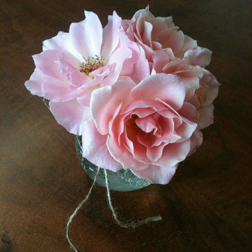 Meet your Posher, Barbara