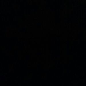 Meet your Posher, Dani