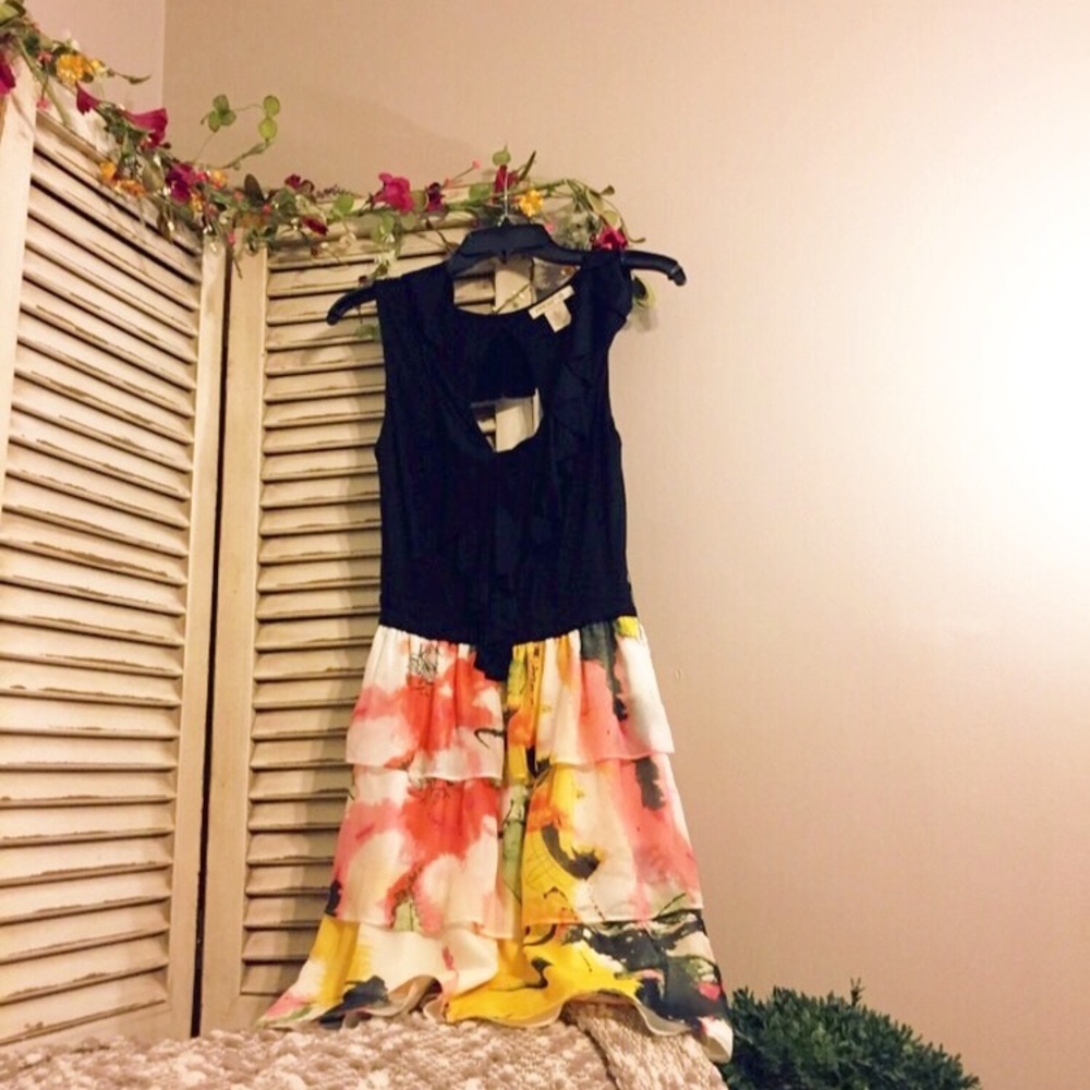 💕HP💕 Arden B. Tiered Dress
