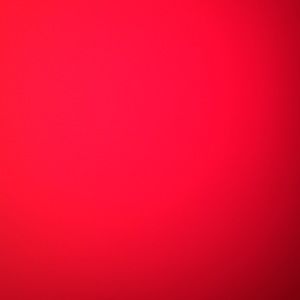 Meet your Posher, Gracie