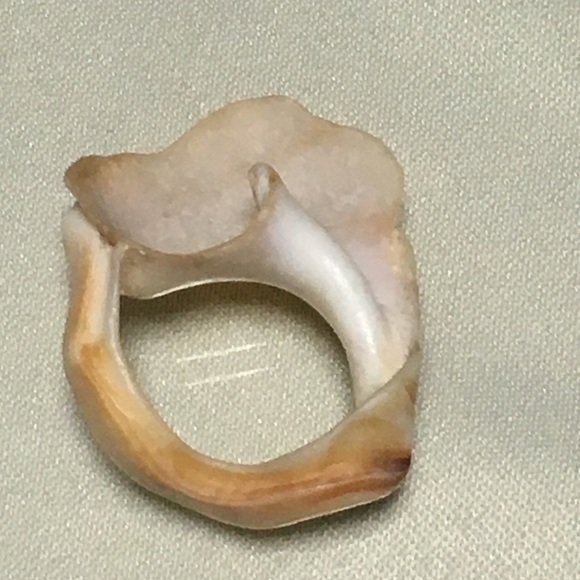 Shell ring - Picture 2 of 4