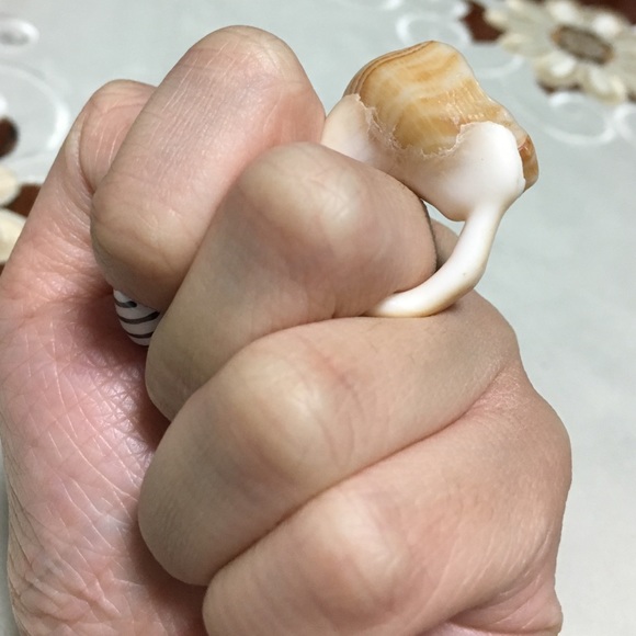 Shell ring - Picture 3 of 4