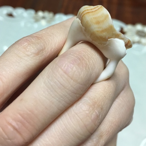 Shell ring - Picture 4 of 4