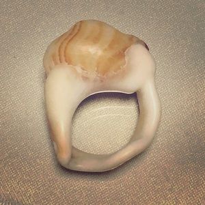 Shell ring